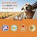 Dog Allergy Relief - Helps to Naturally Support Allergy & Itch Relief for Dogs - Allergy Relief for Dogs Itching - Itch Relief for Dogs - Dog Allergy Support - 1 fl oz