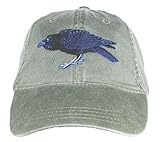 Tom's Bird Feeders Raven Embroidered Cotton Cap Green