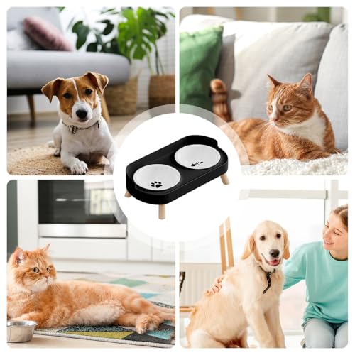 Gamelles antidérapantes pour chiots et chats avec support ergonomique