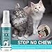 axofwga Cat Deterrent Spray, Spray 100% Natural Cat Spray Deterrent, Effectively Guides Training, Prevent Cat Scratching and Urine Marking Training Aid, Cat Deterrent for Indoor & Outdoor (Cyan)