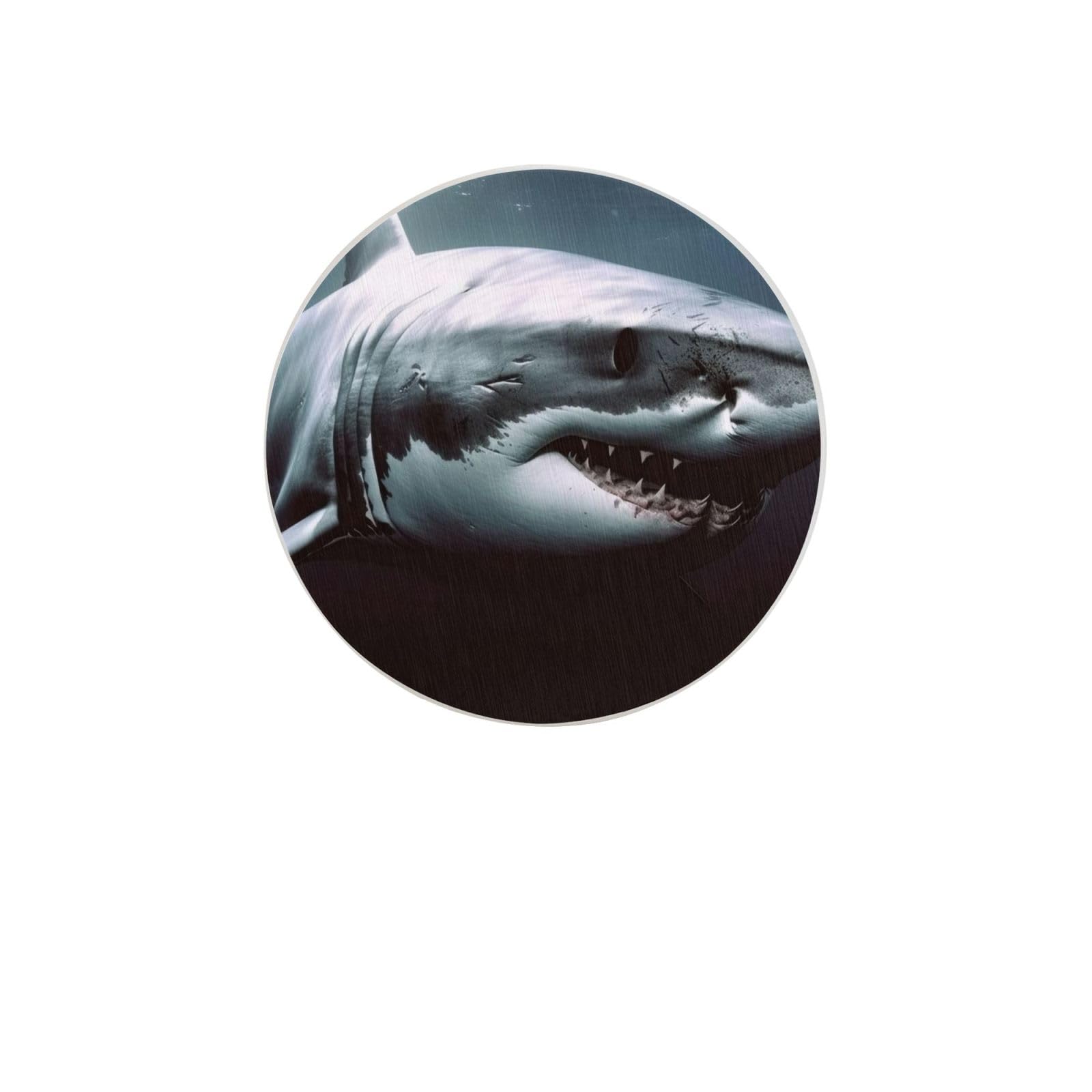 Great White Shark Absorbent Drink Coasters Diatomaceous Round Coaster 4 Inch Reusable Cup Coasters Set 4pc