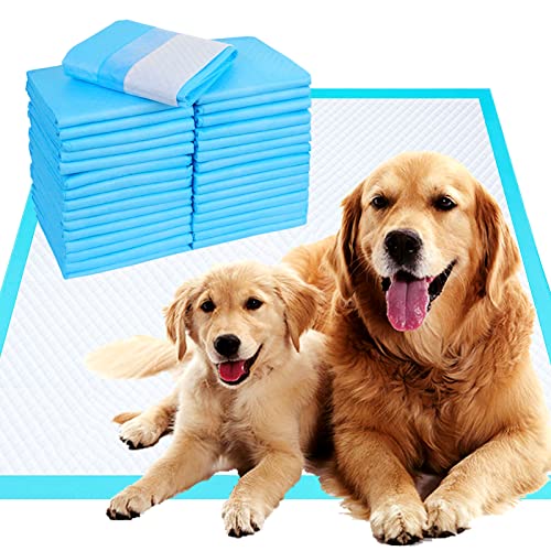 Dog-Pee-Pads-Extra-Large32X36Pee-Pads-for-Dogs60-Count-Puppy-PadsTraining-Pads-for-Dogs-Absorbent-Leak-Proof-for-Family-Training-Disposable-Pet-Potty-Pads - Cucciolini Doodles   Dog-Pee-Pads-Extra-Large32X36Pee-Pads-for-Dogs60-Count-Puppy-PadsTraining-Pads-for-Dogs-Absorbent-Leak-Proof-for-Family-Training-Disposable-Pet-Potty-Pads