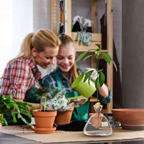 Avocado Propagation Vase - Rose Pink main image 0