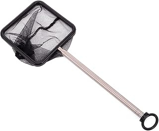 Toddmomy Cast Net Fish Net 2pcs Retractable Fishnet Fish net for Fish Tank Shrimp net Triangle Fishing net fold Aquarium Fishing Net