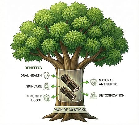 Image of Organic Neem Datun(Moti Datun) Organic Manual Toothbrush Nim Tree Twigs Chew Sticks For Brushing Teeth Removes Bad Breath, Toothpaste (Pack of 10)