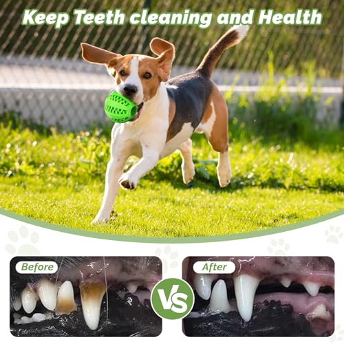 Photo complémentaire