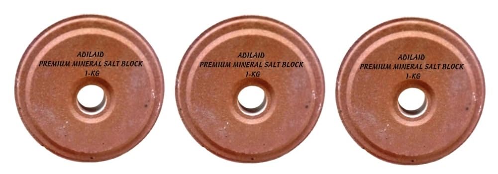ADILAID Premium Mineral Salt Block for Goat,Sheep,Cow,Calf,Buffalo,Horse & Camel Pet Health Supplements (1Kg Each Pack of 3) (B0CKZ8VPBB) Amazon Price History, Amazon Price Tracker