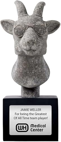Miniatura 8 de Baudville Premio de trofeo de estrella de rock grabado personalizado  piedra gris tallada sobre base de resina negra  Viene con una elegante caja de