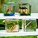 4Pcs Insect Taxidermy in Resin, Interesting Square Microlandscape Insect Specimen Set for Back-to-School Gifts Oddities Bug Collection Paperweights Science Education Supplies (1.57x1.57 inch)