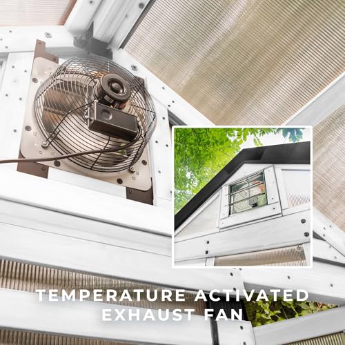Image of Backyard Discovery Bellerose 9' x 6' White Cedar Wood and Polycarbonate Walk-in Greenhouse Kit with Pergola, Exhaust Fan, Window, Hose Hook-Ups, PowerPort, Staging Shelves for Outdoor Gardening