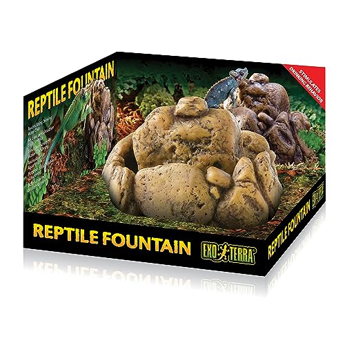 Exo Terra Bassine à Eau pour Reptile avec Pompe
