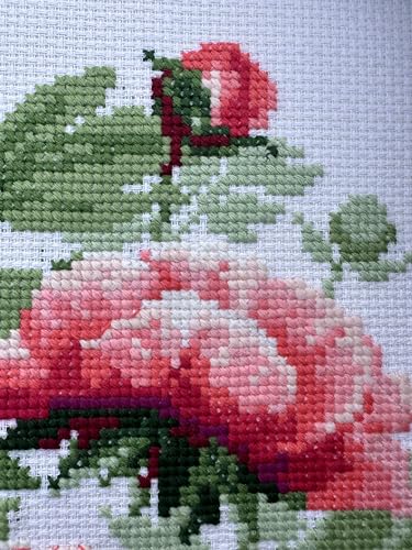 Image of RIOLIS - Tree Peony 1854, Floral Cross Stitch Kits 15,75 inch x15,75, Cross Stitch Kits for Beginners & Advanced, Crossstitching Kits Adult, Counted Stitching Kits, Flowers Embroidery Kit