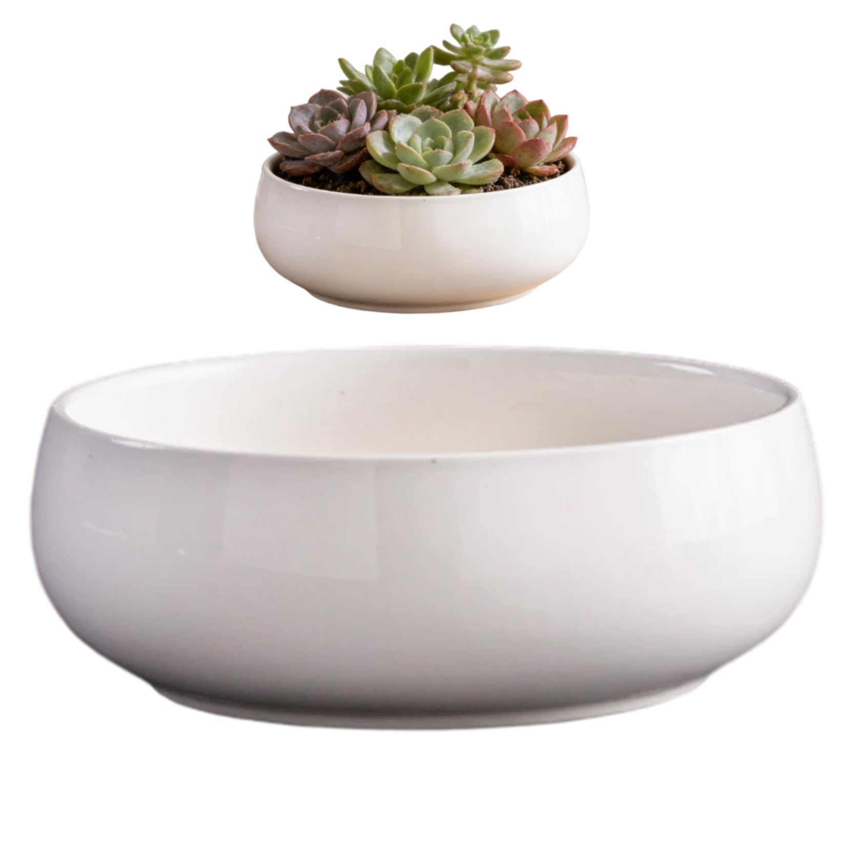 Pot de fleurs en céramique de prestige Lotus Bowl, finition minimaliste blanche 16,5 cm