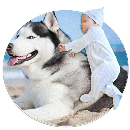 Tapis chien Eskimo mignon JDEZ compagnon doux des petits - 2