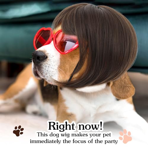 Molain 1 Stück Haustier Perücken mit verstellbaren Riemen, Lustige Hunde Katzen Cosplay Perücke Hundekostüm Weihnachten Perücken Band für Kleine Mittelgroße Hunde Perücken Weihnachten Dekorationen