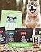 Tales & Tails Halbfeuchtes Trockenfutter für Hunde | Getreidefrei | Eine Tierische Proteinquelle | Hohe Akzeptanz & Verträglichkeit (1,5 kg (1er Pack), Welpe Lamm)