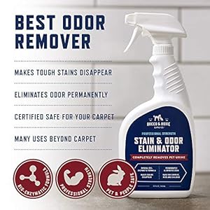 Rocco & Roxie Supply Co. Stain & Odor Eliminator for Strong Odor – Enzyme Pet Odor Eliminator for Home – Carpet Stain Remover for Cats & Dog Pee – Enzymatic Cat Urine Destroyer – Carpet Cleaner Spray