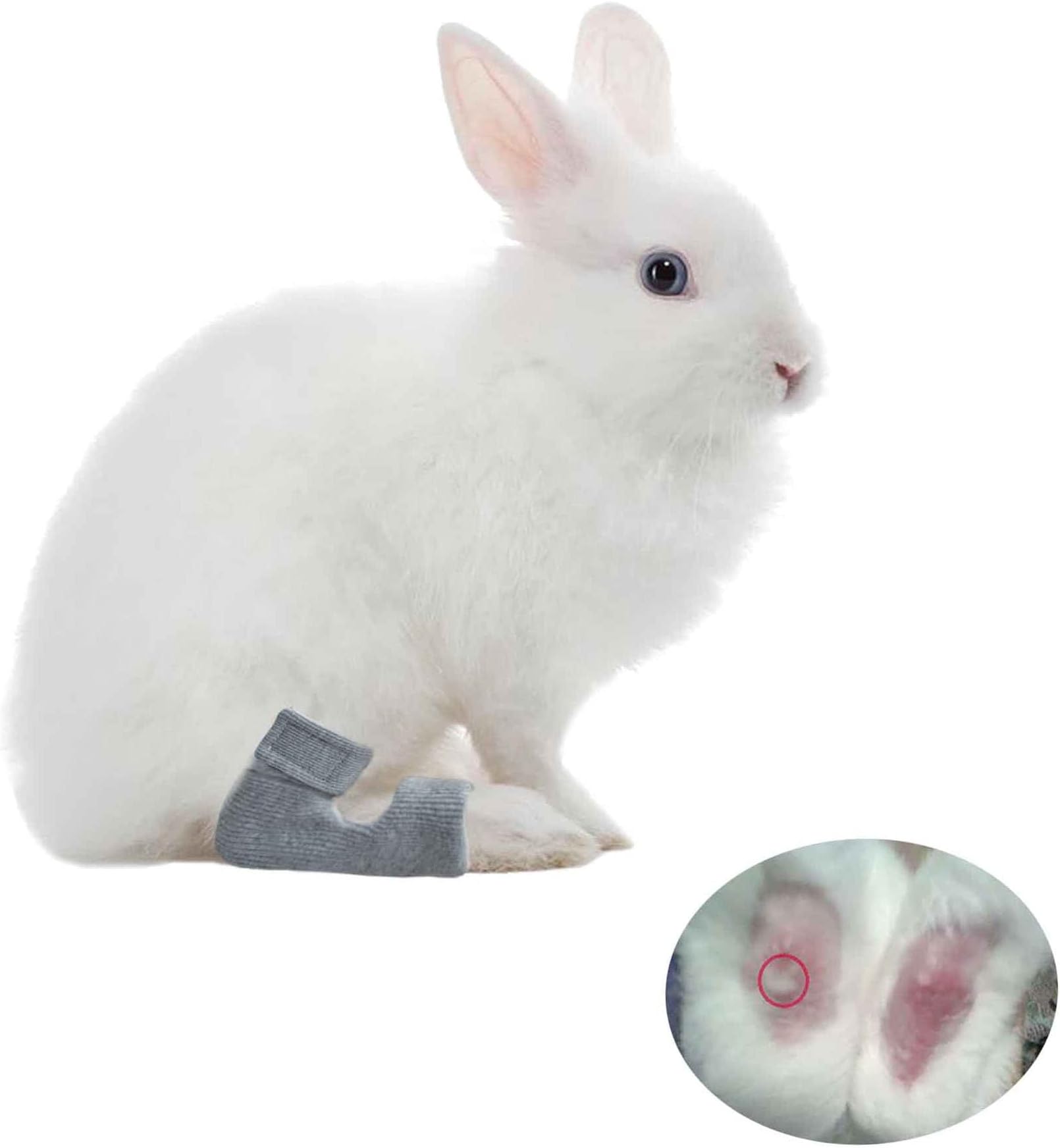 vomvomp 1 Pair Rabbit Socks for Sore Hocks Elbow Protective for Bunny Recovery and Relief Wound Pain