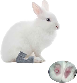 1 Pair Rabbit Socks for Sore Hocks Elbow Protective for Bunny Recovery and Relief Wound Pain