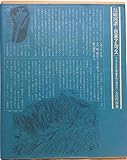 鳥瞰図譜=日本アルプス―＜アルプス・八ケ岳・富士山＞の地形誌 (1979年)
