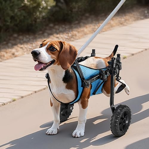 VEVOR Hunderollstuhl für Hinterbeine, Verstellbarer Haustierrollstuhl, Leichter Hundewagen mit stoßdämpfenden Rädern, Gehhilfe für behinderte, gelähmte, verletzte Hunde bis 10 kg, S