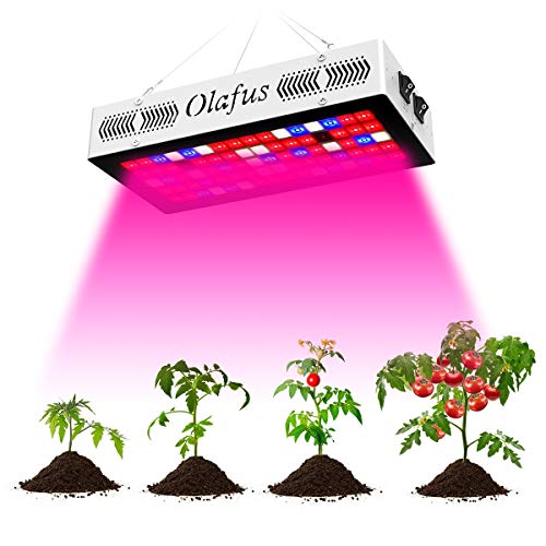 Olafus LED Grow Light 300W, Veg and Bloom Dual Switch, Full Spectrum Grow