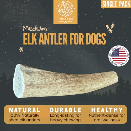 Image of Medium Whole Elk Antler for Dogs, 5-7 inch Dog Bones for Aggressive Chewers