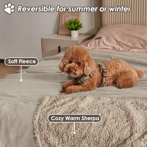 Pawsee Wasserdicht Hundedecke Katzendecken Waschbar, wasserdichte Decke für Unterwegs Hundesofa Schutzdecke Sofa Überwurf, Flauschig Hundedecke für Miniaturhunde Kleine Hunde Katzen,XS 75 x 60cm