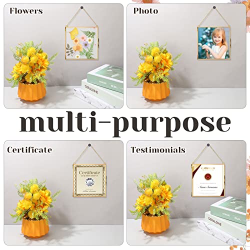 4 Pieces Pressed Flowers Glass Frames 6 X 6 Inch, Brass Hanging Double Glass Picture Frame Clear Square Floating Frames With Chains For Dried Plant Specimen Kids Photo Display Gallery, Gold #TOP3