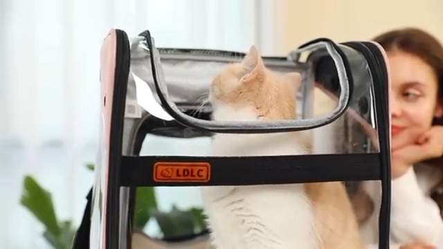 Draagtas voor katten, kleine honden, 10 kg, uittrekbare rugzak, transparant, voor dieren, opvouwbaar, ruim, ademend, met pluche matras, grote drager