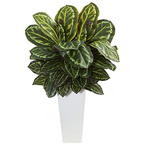 Nearly Natural 6398 Maranta Artificial Plant in White Tower Vase Green