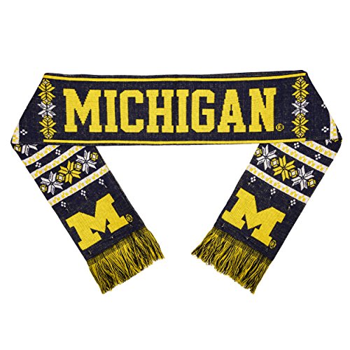 FOCO Michigan Light Up Scarf
