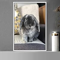 Framed Canvas Wall Art Bunny Animals Bedroom Expressive Multicolor Photography Rabbit Rustic - 16x24 inches
