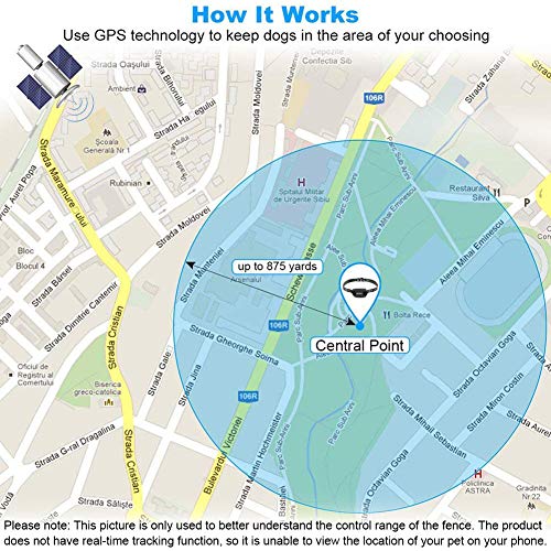 The 25 Best Large Area Wireless Dog Fences of 2024 [Verified] Cherry