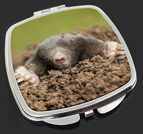 Preisvergleich Produktbild Garten Mole Make-up Taschenspiegel Weihnachtsgeschenk