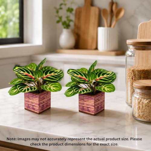 Image of DecoreBugs Artificial Real Touch Flower Plant with Pot (Pack of 2), 16 cm Height, Decorative Faux Floral Plant for Home, Office, Living Room, Bedroom, Table & Shelf Decor