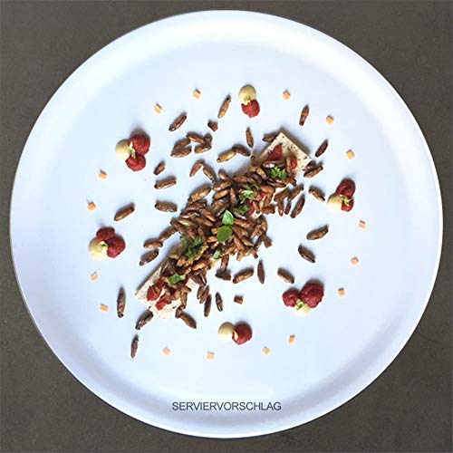 Crunchy Grillen 'Salt' - 20g Insekten Snack zum Sofortverzehr oder als Kochzutat - Insektensnack von 'SNACK insects'