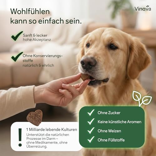 FloraCare+ Probiotika Hund – Darmkur bei Durchfall, Blähungen & Sodbrennen | Darmflora aufbauen & Magen-Darm stärken | Präbiotika + Probiotika für Hunde | Magenschutz & Darmwohl | 60 Stück