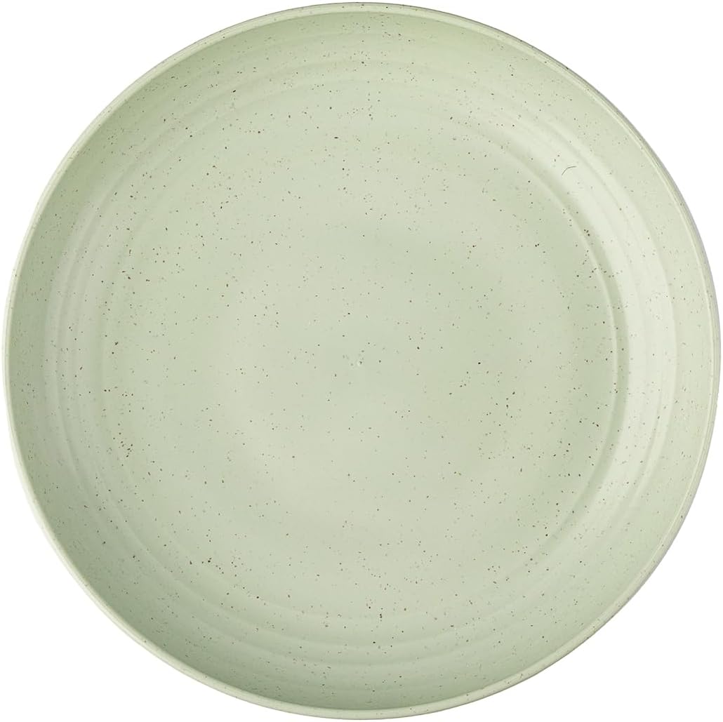 Irida Naturals Planet Friendly Dinner Plates Set - Lightweight & Unbreakable Plates, Microwave Safe Plates, Serving Plates for Hot & Cold Servings, 10 inch Pack of 1 (Mint Green)