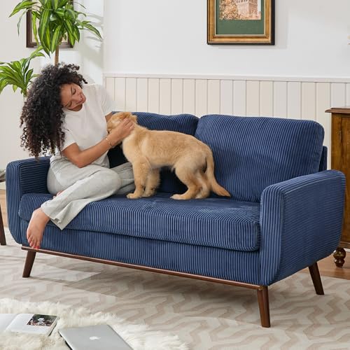 Tbfit Corduroy Couch for Living Room, Mid Century Modern Sofa with Spring Cusions for Bedroom,Comfy Upholstered Couches Easy Assembly with Solid Wood Legs & 2 Pillows (Blue, 65inch)
