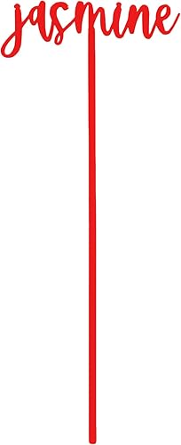 The Cotton & Canvas Co. Agitadores de bebidas con nombre personalizado, palitos de cóctel de fiesta, palitos Swizzle personalizados, recuerdos de