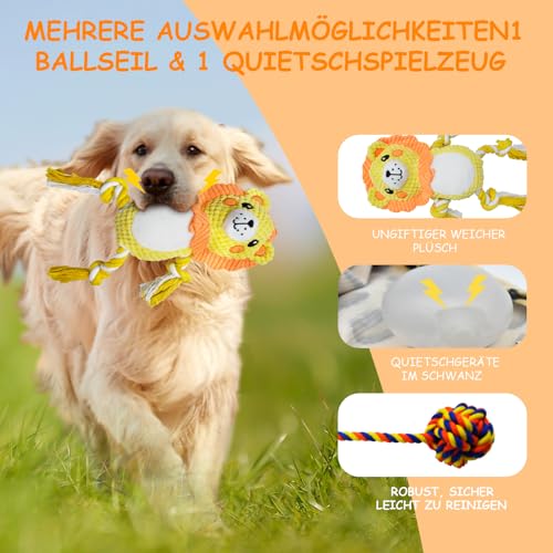 Aitmexcn Reizangel Hund, Eizangel Hunde Martin Rütter, Ausziehbar Robuste Flirt Pole für Kleine & Große Hunde und Katzen - Robuste & Leichte