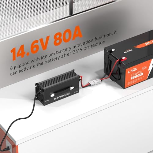 LiTime 12V 80A Lithium Charger
