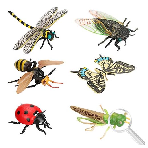 Achort 6pcs Insectos e Insectos de plástico para niños Figuras de Insectos Juguetes Figuras de Insectos Plásticos Kits para educación/Juguetes de Halloween/Fiestas temáticas/Regalos cumpleaños