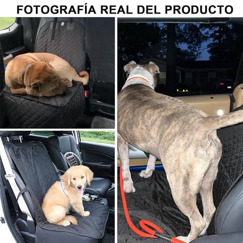 Mascotas, Imagen adicional