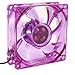 Ruilogod 80mm Kolorowe LED PC Case Case Case Cooler Fala chłodzące Fioletowy DC 12V 4P