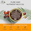 RA COSMETICS 100% Natural Unrefined Batana Hair Oil for Healthy Hair, 16 oz | Dr Sebi Batana Oil Hair Moisturizer for Damaged Hair Repair| Strengthening and Nourishing Hair Conditioner