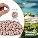 Sukh Ceramic Bio Balls - Fish Tank Sphere Filter Media Nano-Tech Bio-Spheres Bio Media for Aquarium,Fish Tank Sump,Pond,Freshwater,Canister Filter and Koi Ponds,15oz