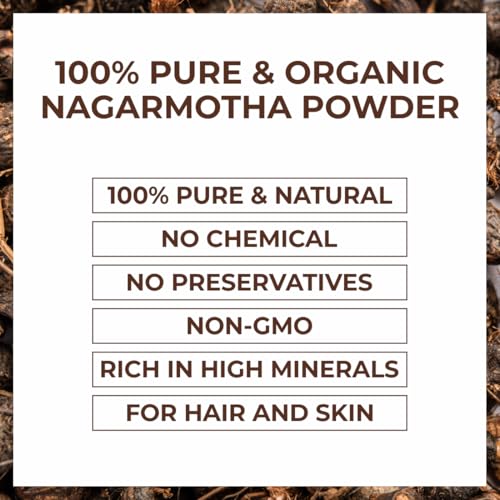 Image of Ayusoul Ayurveda Nagarmotha Powder for Hair & Skin Care | Premium Ayurvedic Cyperus Rotundus Powder for Hair Nourishment, Scalp Care & Face Packs- 100GM