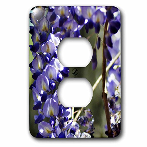 Glycine Cloche UP 2 prises plaque décorative violette lsp_51773_6
